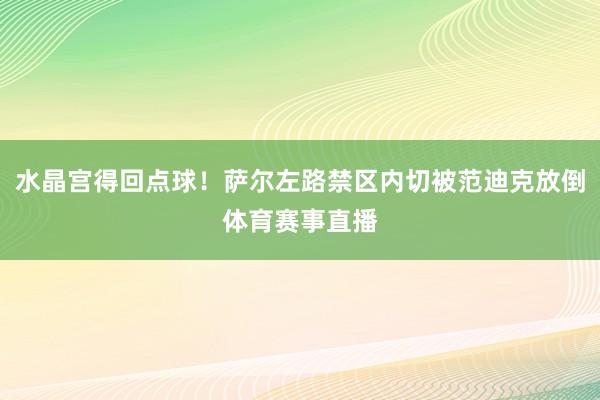 水晶宫得回点球！萨尔左路禁区内切被范迪克放倒体育赛事直播
