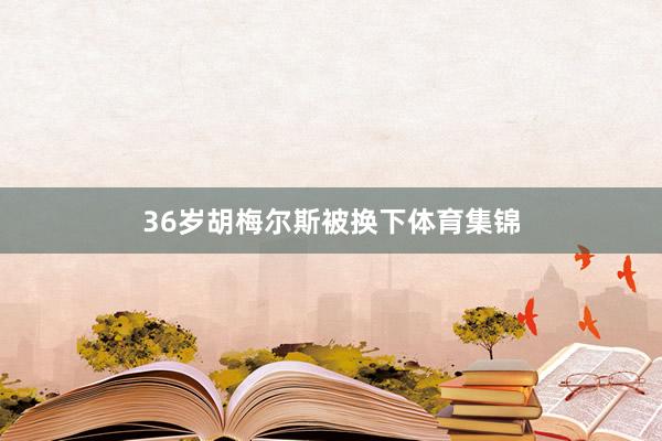 36岁胡梅尔斯被换下体育集锦