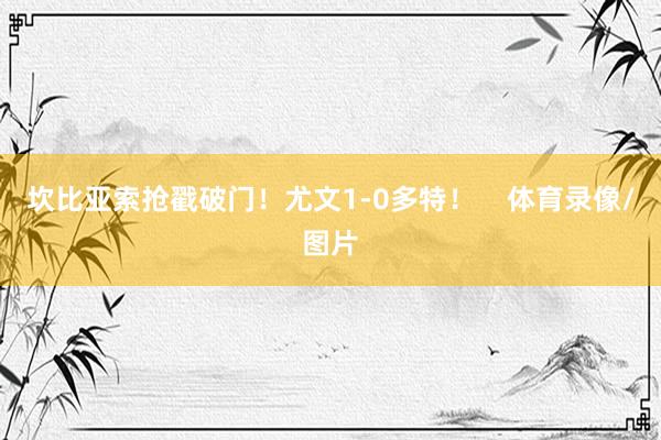 坎比亚索抢戳破门！尤文1-0多特！    体育录像/图片