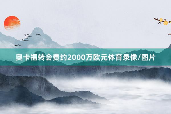 奥卡福转会费约2000万欧元体育录像/图片