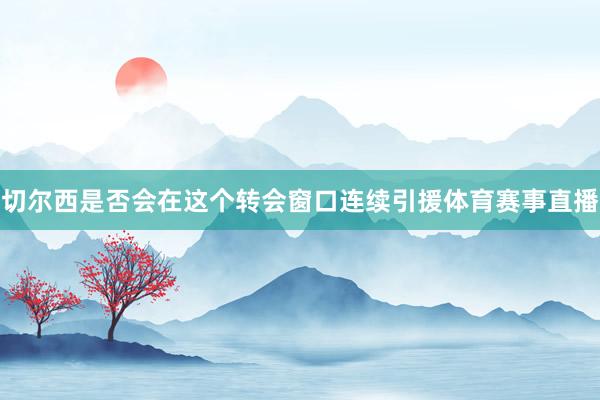 切尔西是否会在这个转会窗口连续引援体育赛事直播