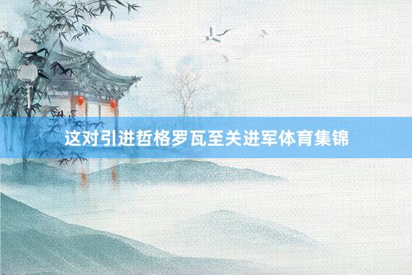 这对引进哲格罗瓦至关进军体育集锦
