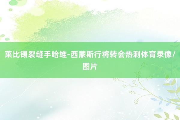 莱比锡裂缝手哈维-西蒙斯行将转会热刺体育录像/图片