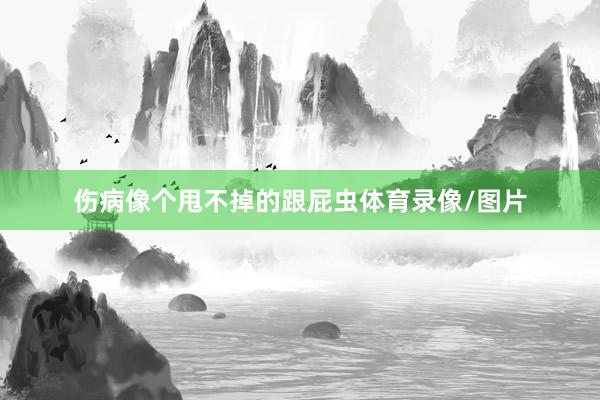 伤病像个甩不掉的跟屁虫体育录像/图片