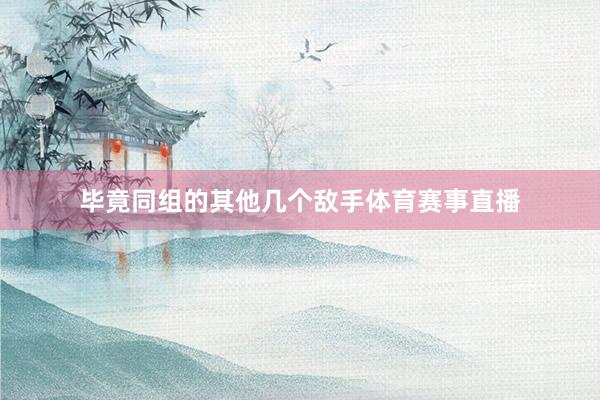 毕竟同组的其他几个敌手体育赛事直播