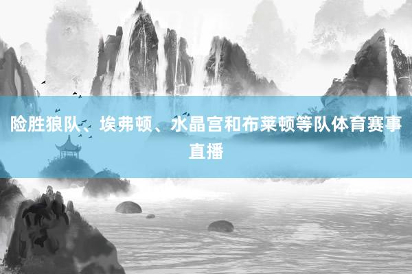 险胜狼队、埃弗顿、水晶宫和布莱顿等队体育赛事直播