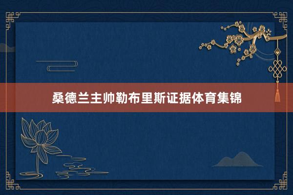 桑德兰主帅勒布里斯证据体育集锦