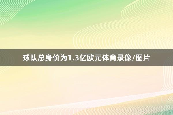球队总身价为1.3亿欧元体育录像/图片