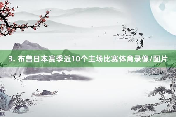 3. 布鲁日本赛季近10个主场比赛体育录像/图片