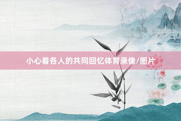 小心着各人的共同回忆体育录像/图片
