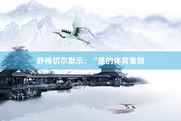 舒梅切尔默示：“是的体育集锦