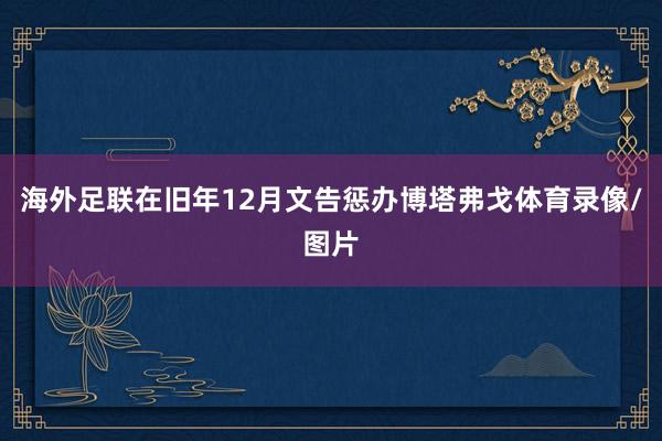 海外足联在旧年12月文告惩办博塔弗戈体育录像/图片