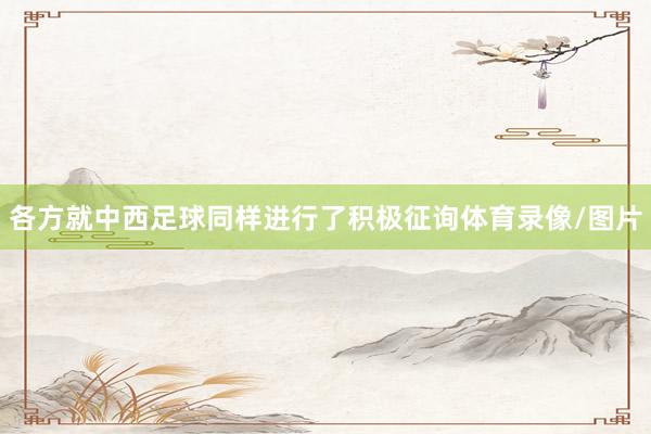 各方就中西足球同样进行了积极征询体育录像/图片