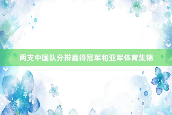 两支中国队分辩赢得冠军和亚军体育集锦
