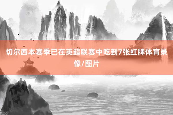 切尔西本赛季已在英超联赛中吃到7张红牌体育录像/图片