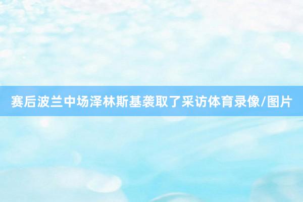 赛后波兰中场泽林斯基袭取了采访体育录像/图片