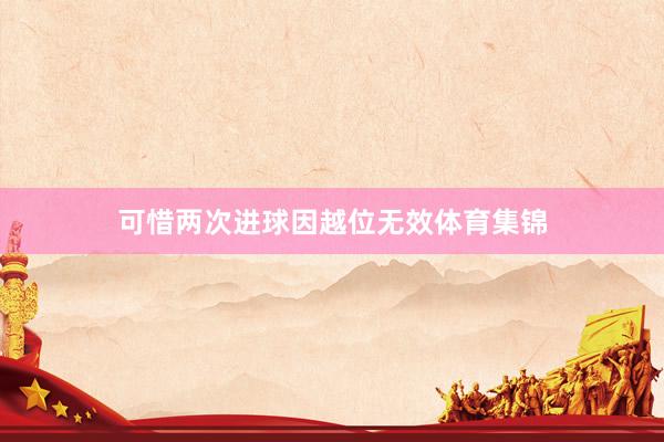 可惜两次进球因越位无效体育集锦