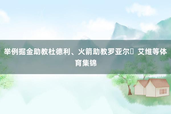 举例掘金助教杜德利、火箭助教罗亚尔・艾维等体育集锦