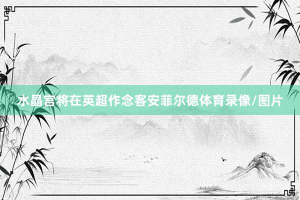 水晶宫将在英超作念客安菲尔德体育录像/图片