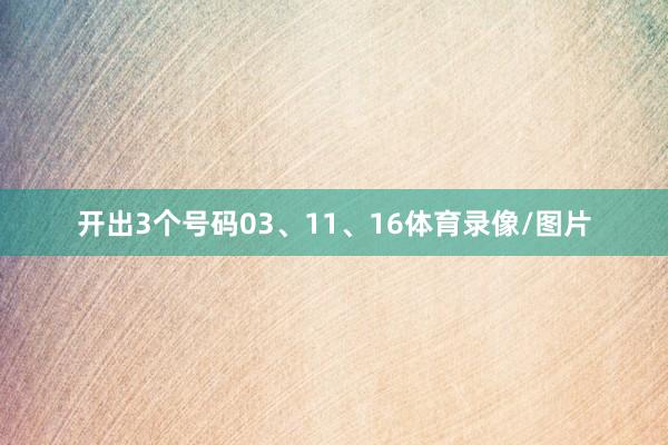 开出3个号码03、11、16体育录像/图片