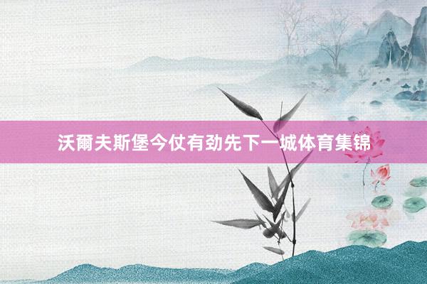 沃爾夫斯堡今仗有劲先下一城体育集锦