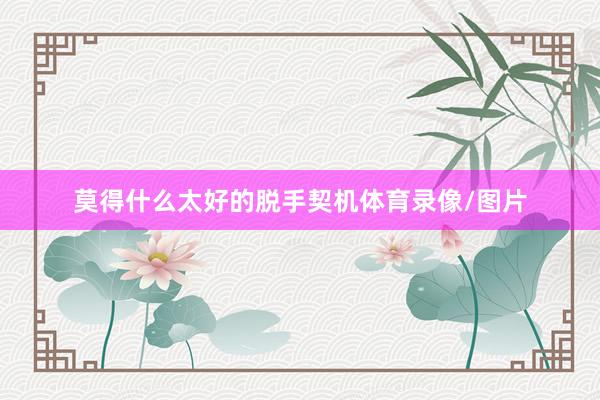 莫得什么太好的脱手契机体育录像/图片