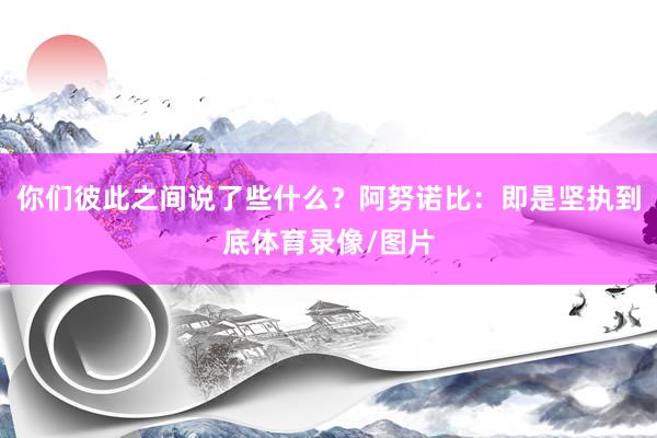 你们彼此之间说了些什么？阿努诺比：即是坚执到底体育录像/图片