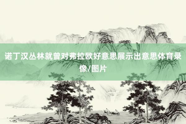 诺丁汉丛林就曾对弗拉欧好意思展示出意思体育录像/图片