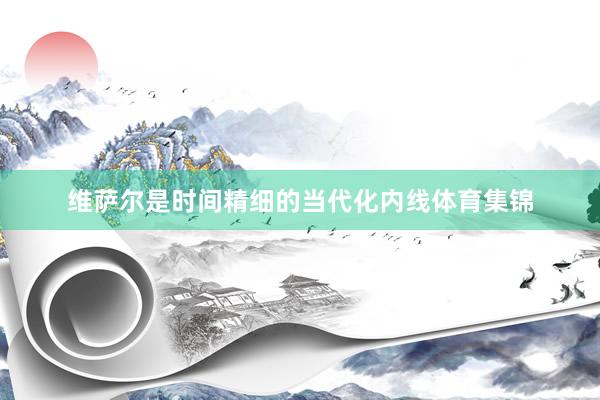 维萨尔是时间精细的当代化内线体育集锦