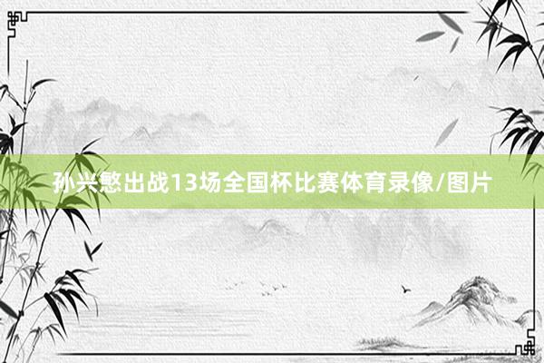 孙兴慜出战13场全国杯比赛体育录像/图片