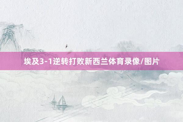 埃及3-1逆转打败新西兰体育录像/图片
